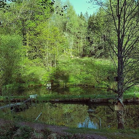 Gut Lauterbad Hotel フロイデンシュタット エクステリア 写真