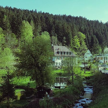 Gut Lauterbad Hotel フロイデンシュタット エクステリア 写真
