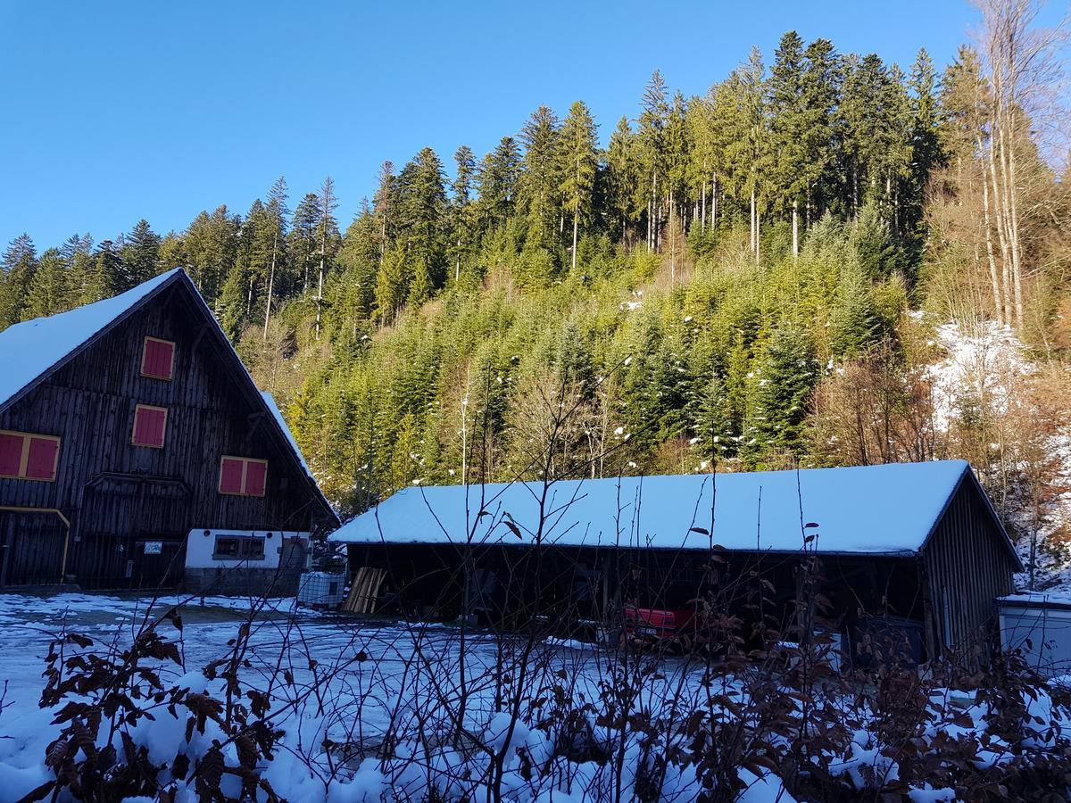 Gut Lauterbad Hotel フロイデンシュタット エクステリア 写真