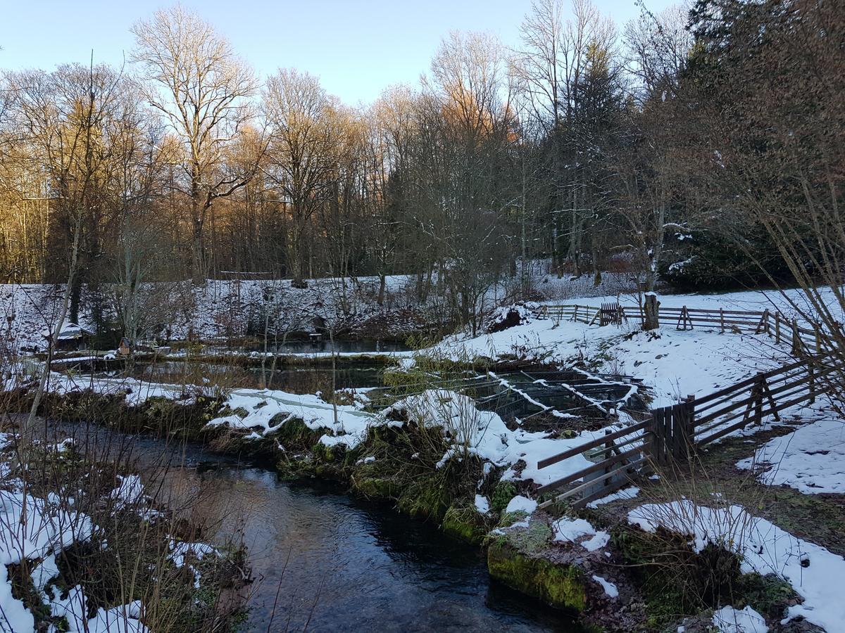 Gut Lauterbad Hotel フロイデンシュタット エクステリア 写真