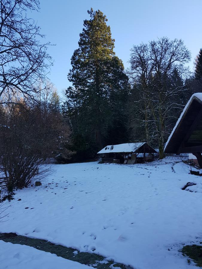 Gut Lauterbad Hotel フロイデンシュタット エクステリア 写真