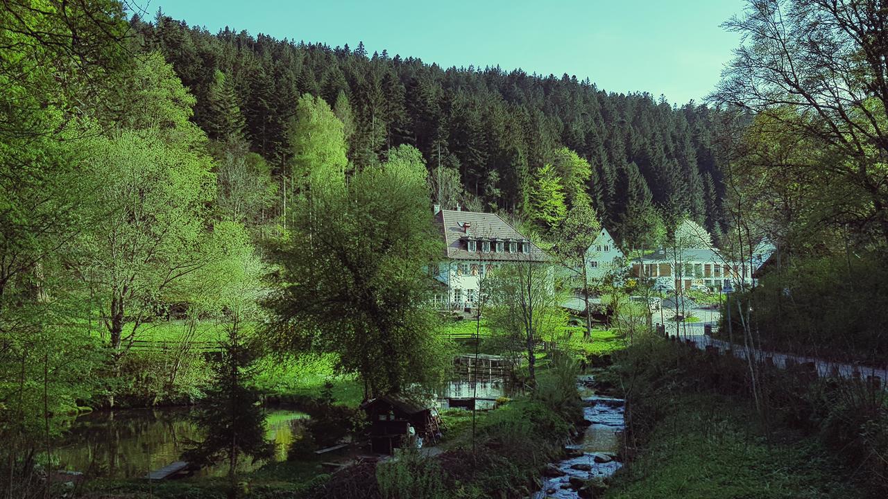 Gut Lauterbad Hotel フロイデンシュタット エクステリア 写真