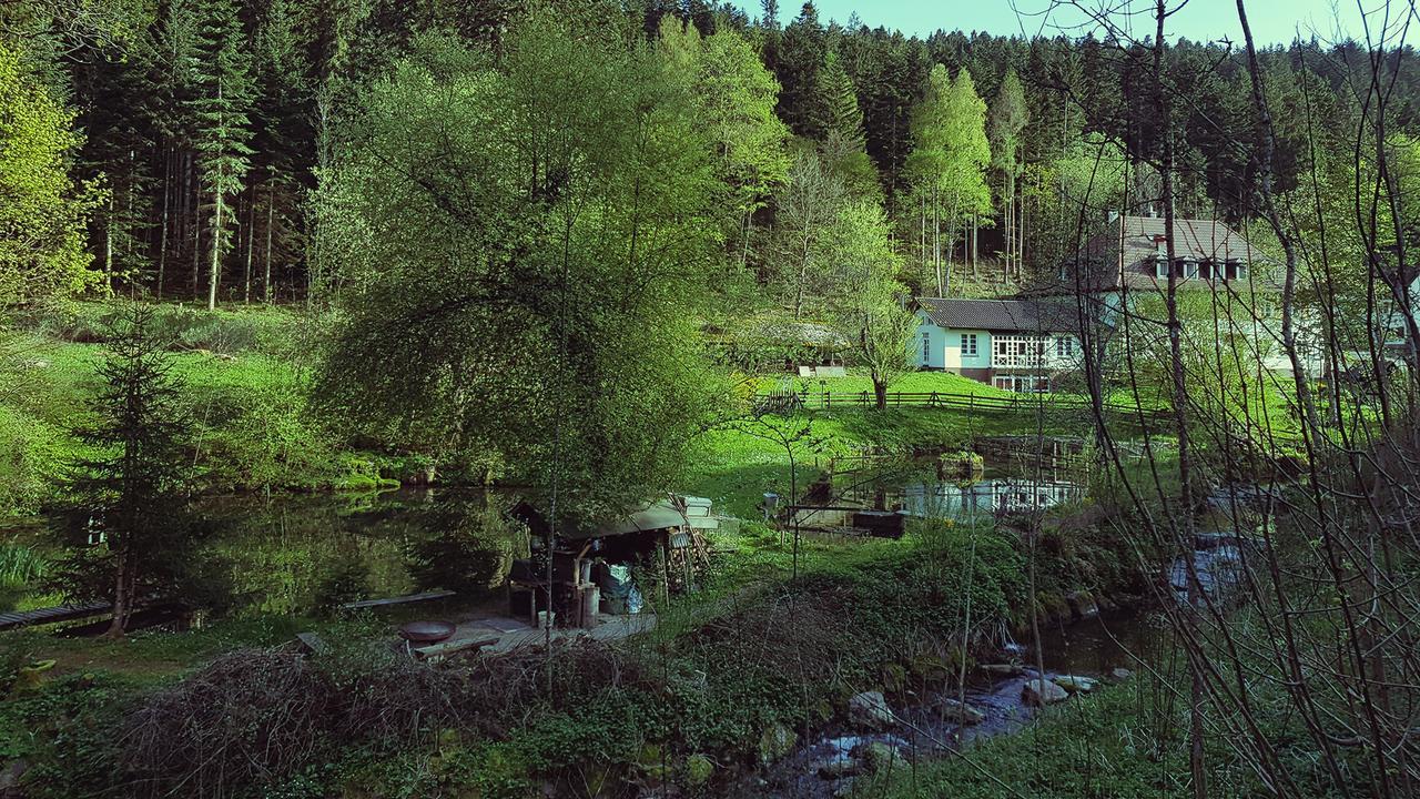 Gut Lauterbad Hotel フロイデンシュタット エクステリア 写真
