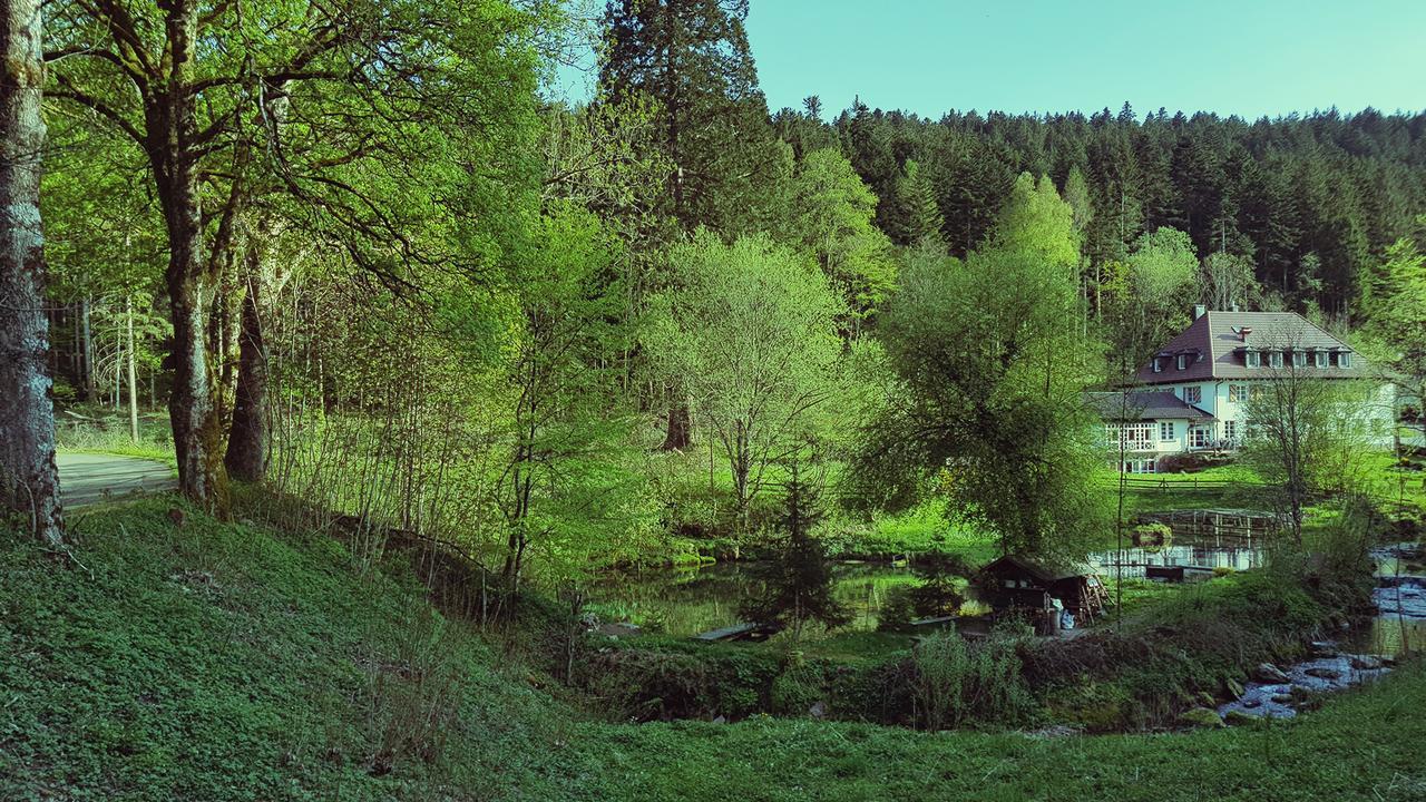 Gut Lauterbad Hotel フロイデンシュタット エクステリア 写真